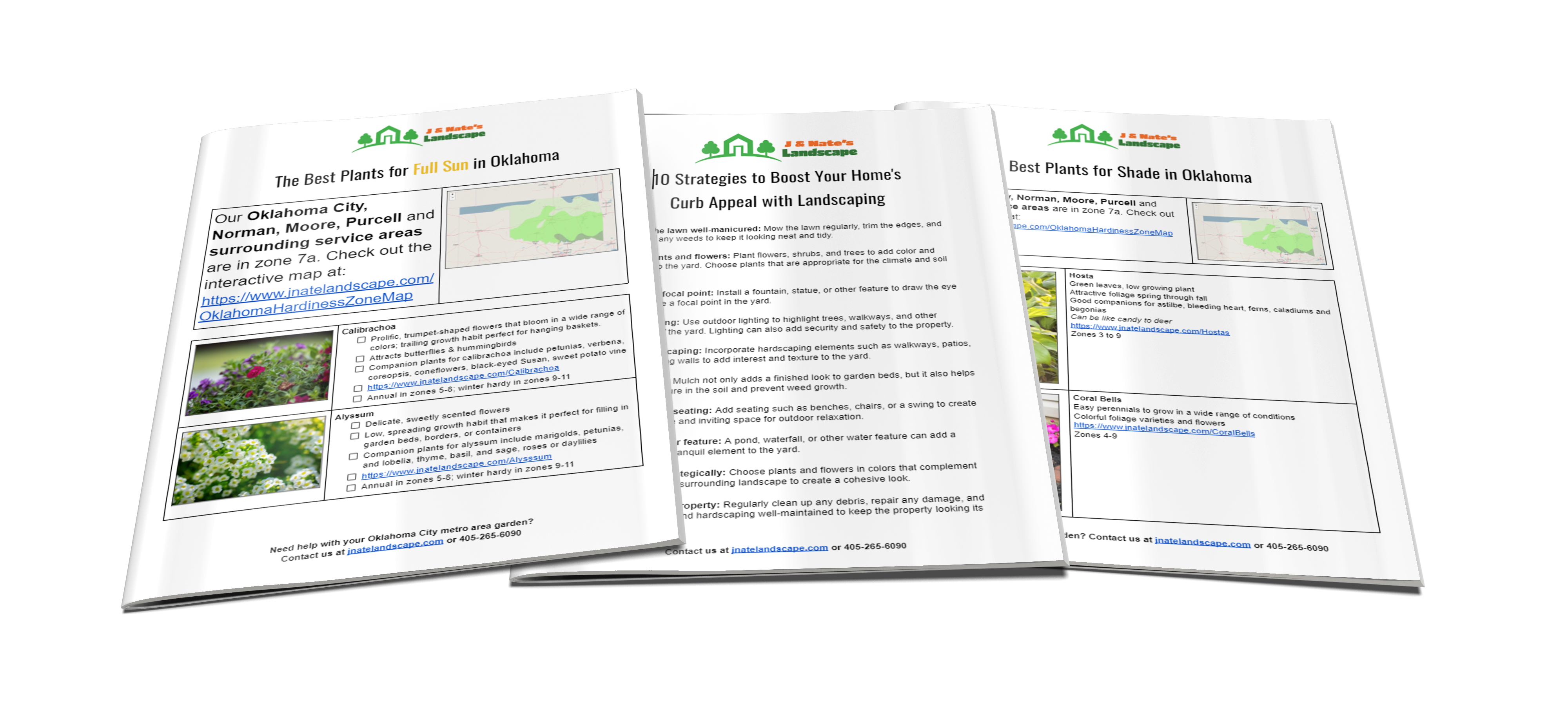 Lawn and Landscaping Checklists Lawn and Landscaping Checklists